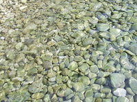 SA400052.jpg