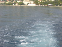 p1010013.jpg