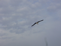 p1010016.jpg