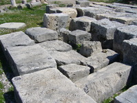 p1010279.jpg