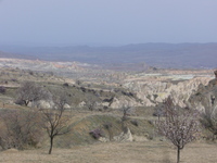 p1010529.jpg