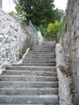 p1020523.jpg