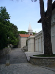 p1020528.jpg