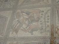 p1020868.jpg