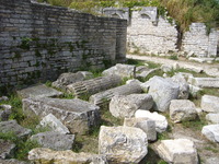 p1020907.jpg