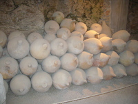 p1030024.jpg