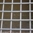 thumbnails/005-IMG_0291.jpeg.small.jpeg