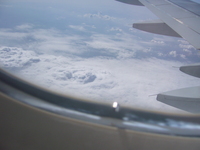 P1000420.jpg