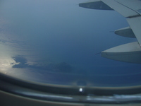 P1000423.jpg