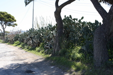 IMG_0004.jpg