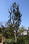 IMG_0026.jpg