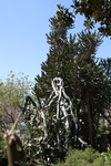 IMG_0027.jpg