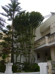 P1000411.jpg