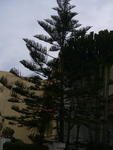 P1000412.jpg