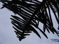 P1000414.jpg