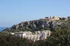 IMG_0017.jpg