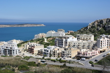IMG_0020.jpg