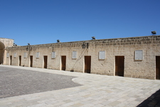 IMG_0050.jpg