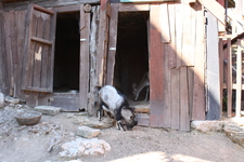 IMG_0123.jpg