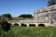 IMG_0012.jpg