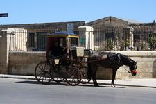 IMG_0188.jpg