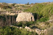 IMG_0005.jpg