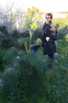 IMG_0008.jpg