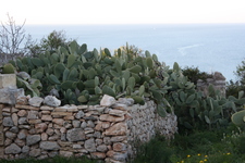 IMG_0015.jpg