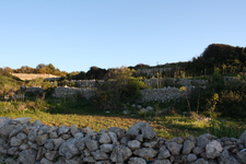 IMG_0016.jpg