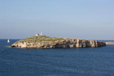 IMG_0184.jpg