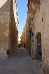 IMG_0010.jpg