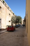 IMG_0020.jpg