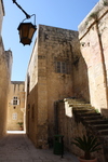 IMG_0021.jpg