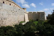 IMG_0207.jpg