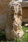 IMG_0075.jpg