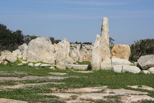 IMG_0096.jpg