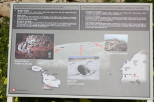 IMG_0172.jpg