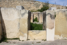 IMG_0356.jpg