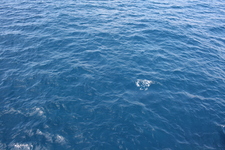 IMG_0499.jpg
