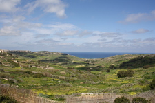 IMG_0537.jpg