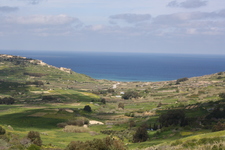 IMG_0539.jpg