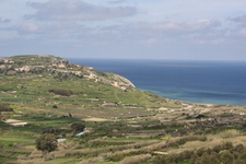 IMG_0545.jpg
