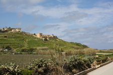 IMG_0550.jpg