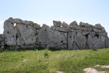 IMG_0564.jpg