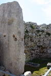IMG_0613.jpg