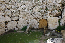 IMG_0634.jpg