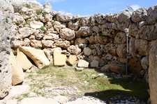 IMG_0636.jpg