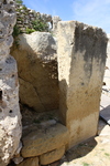IMG_0653.jpg
