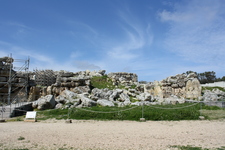 IMG_0656.jpg
