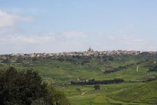 IMG_0667.jpg